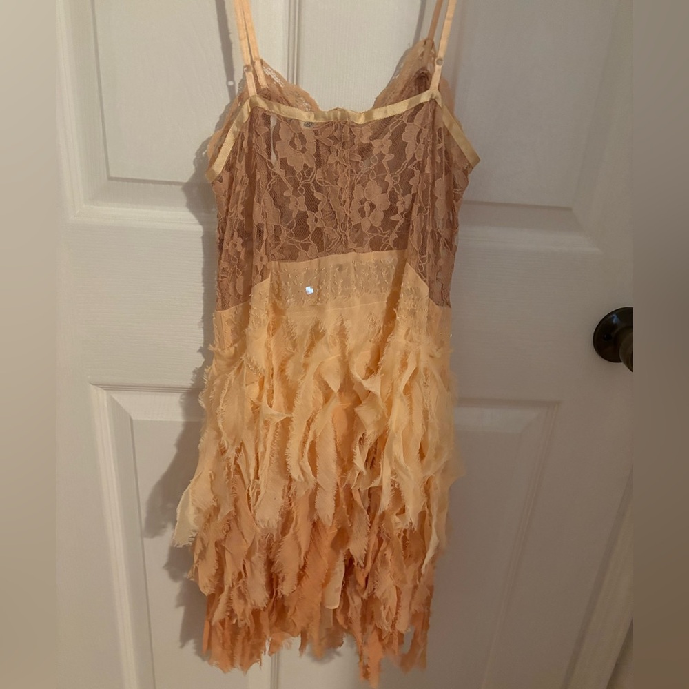 Free People Feather Beaded Lace Chiffon Dress - Picture 6 of 6